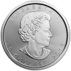1 oz Platinum Maple Leaf-325